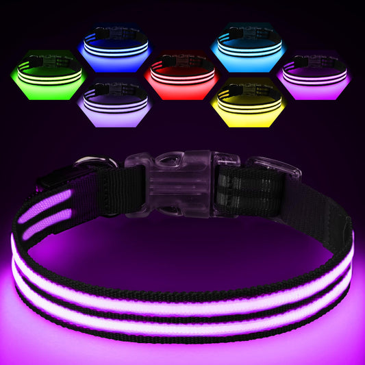 NightShark LED Dog Collar — Light Up, Waterproof & Rechargeable