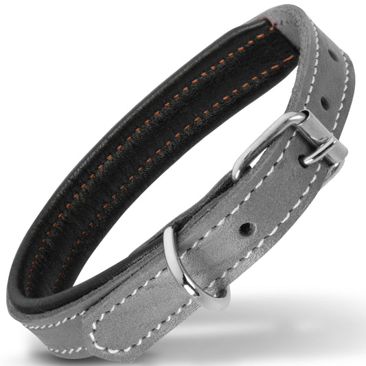 The SlateShark Leather Dog Collar — Premium Full-Grain, Padded & Built to Last