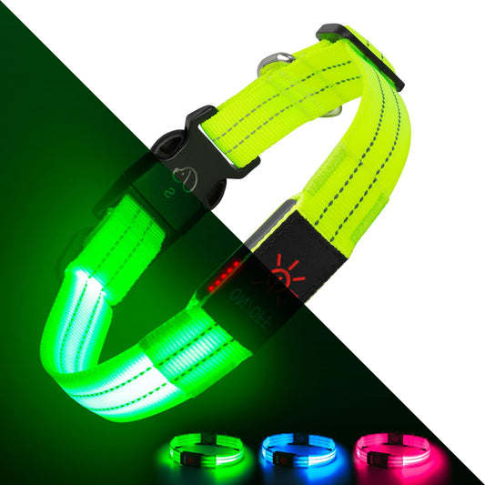 NightShark LED Collar — USB Rechargeable, Waterproof & Blazing Bright